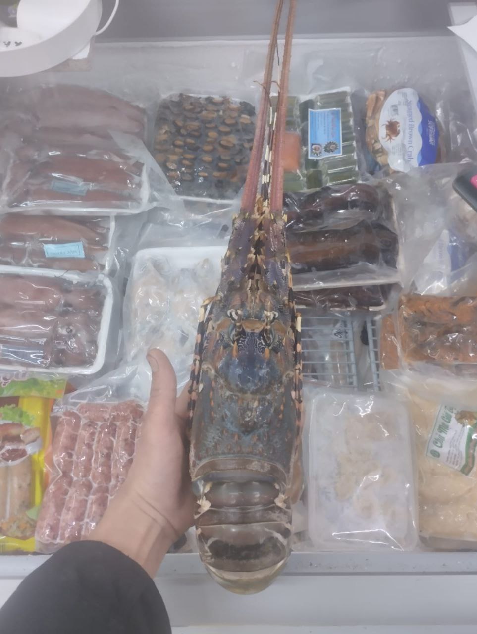Лангуст с/м (ОАЭ)